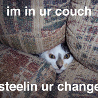 Cat in couch