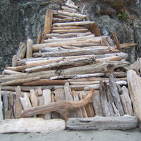 mendocino driftwood 