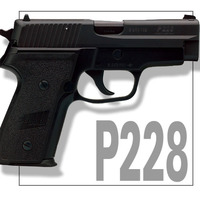 SIG P228