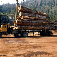 more lumber
