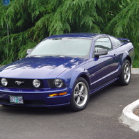 Mustang Corvallis OR