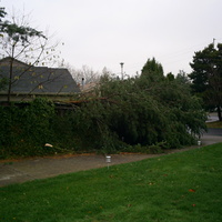 windstorm1