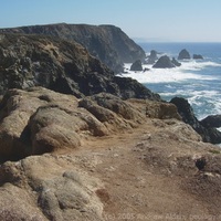 Salinia Bodega Head and Point Reyes