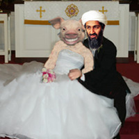 bin laden gets married