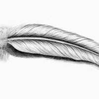Symbolic Feather