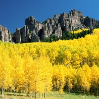 valle amarillo