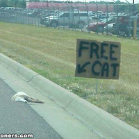 Free Cat!