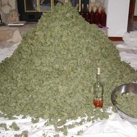 weed mountain
