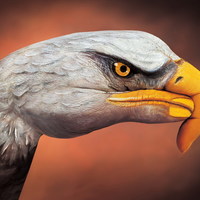 eagle 1 hand painting