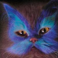 Painted cat