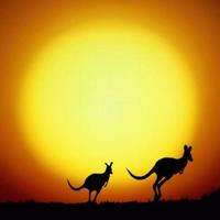 roos sunset