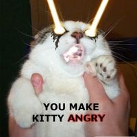 You make kitty angry