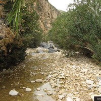 canyoning/hiking in jordan