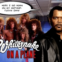 whitesnake on a plane!