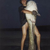 nice.........catfish