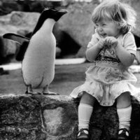 New Friends