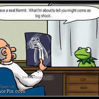 Kermits Doctor