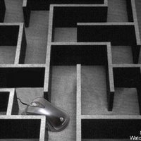 Mouse in a Maze