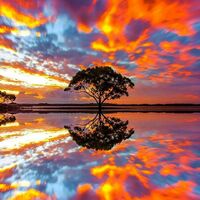 Australia - mirror image over water
