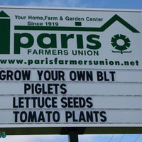 Grow your own BLT