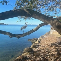 freeze framed