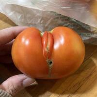 Everywhere I look, something reminds me of her