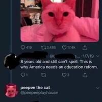 ime a cat