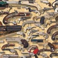 Guns, guns and more vintage guns