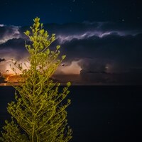 light show