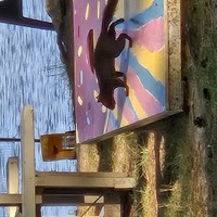 Black squirrels matter