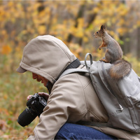 if only i could find a squirrel to take a photo off!