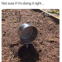 Keep watering it