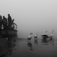 Floating Life by Fuad Sakar