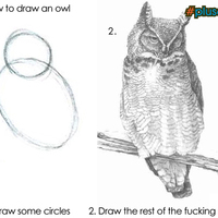 drawing lesson