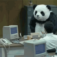 Pulse, wearing his panda costume,preventing plus613 admin from updating the IOTW
