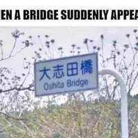 To cross or not to cross