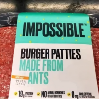 Extra protein