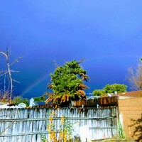 "Backyard Rainbow" by Valerie Marr