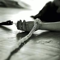 my funny picture collection phone