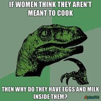 thoughts from philosoraptor
