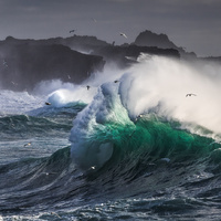 Power of Nature by Paweł Uchorczak