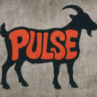 p u l s e