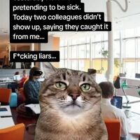 Fucking liars