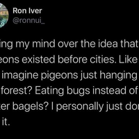 Birds aren't real