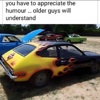 Quasi knows