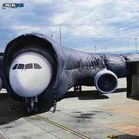 homie boeing in the house