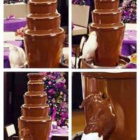Polly want chocolate