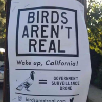 Birds aren't real!