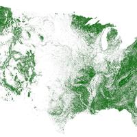 tree map of the usa