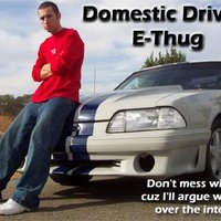 Domestic thug